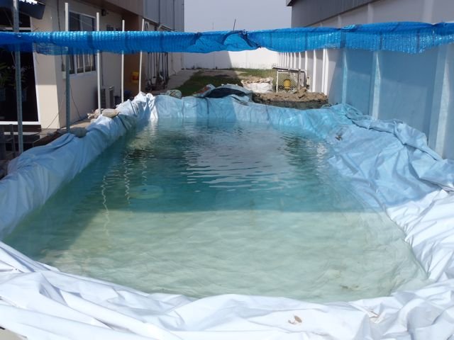 P4210190.jpg