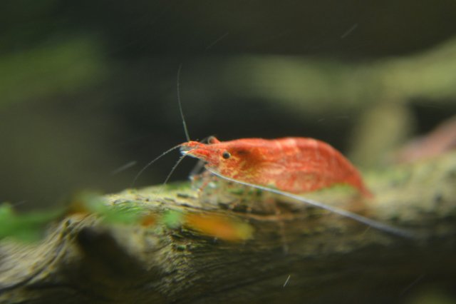 DSC_0586.jpg