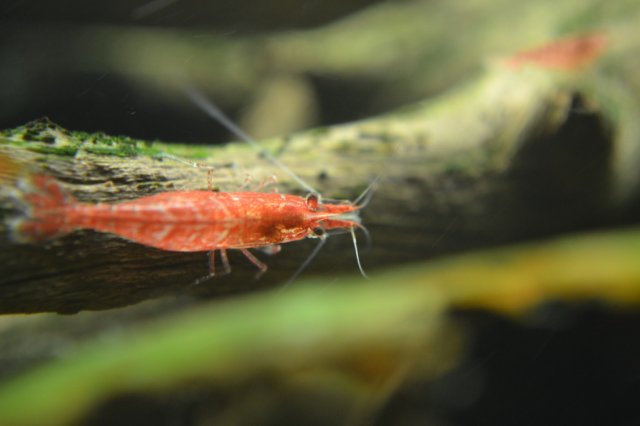 DSC_0608.jpg
