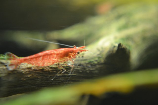 DSC_0628.jpg