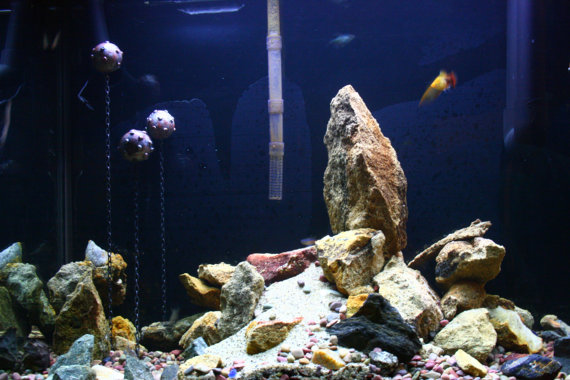 Underwater Mines Aquariacentral Com