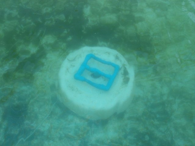 P5030250.jpg