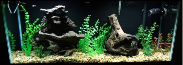 29APR2012FTS.jpg