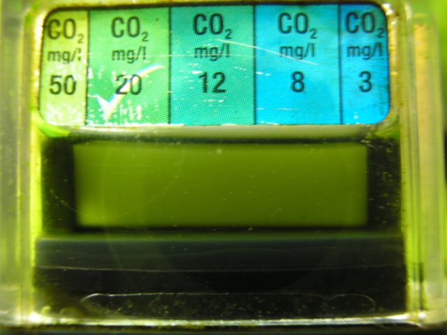 co2.JPG