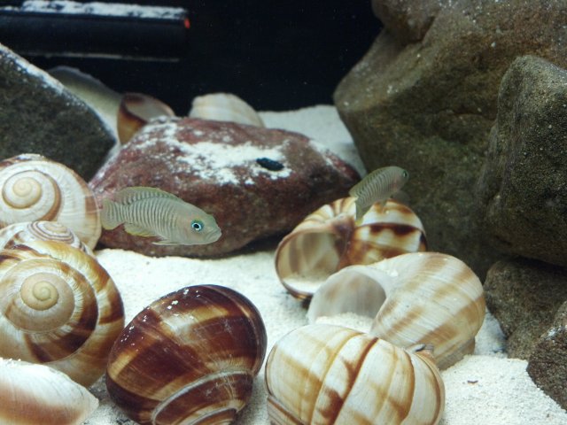 2012-03-10_18-13-45_983.jpg