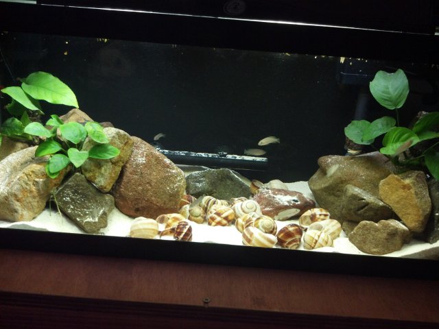 2012-03-10_18-14-07_806.jpg