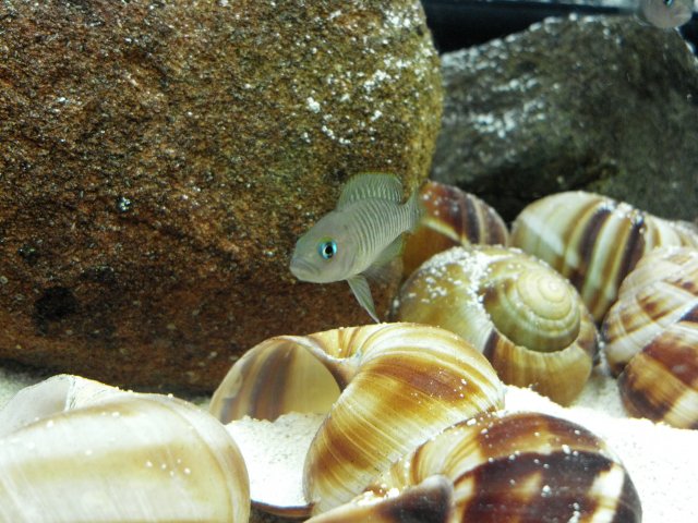 2012-03-10_18-14-21_5.jpg