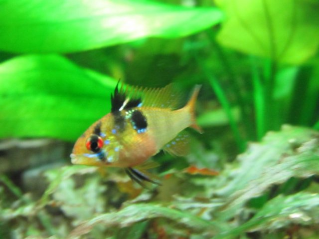 newaddition1.jpg