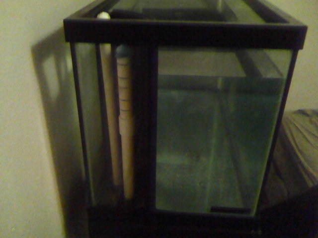 fish tank.jpg fish tank.jpg