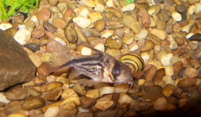 100_3800.JPG