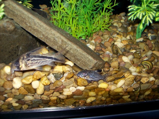 100_3805.JPG