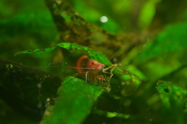 DSC_05022.jpg
