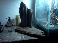 driftwood3.jpg