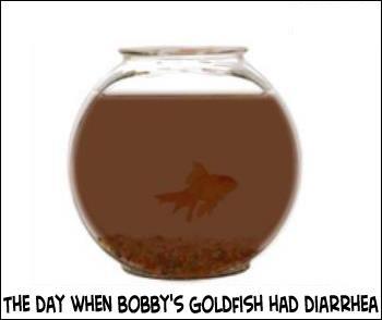 goldfish.jpg