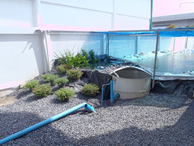 P6020369.jpg