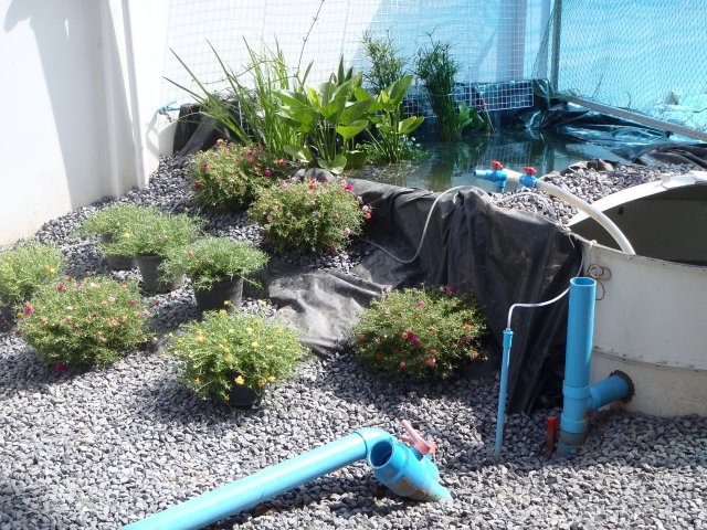 P6020370.jpg