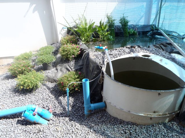 P6020372.jpg