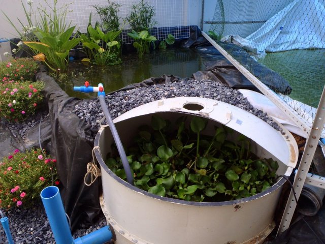 P6090336.jpg
