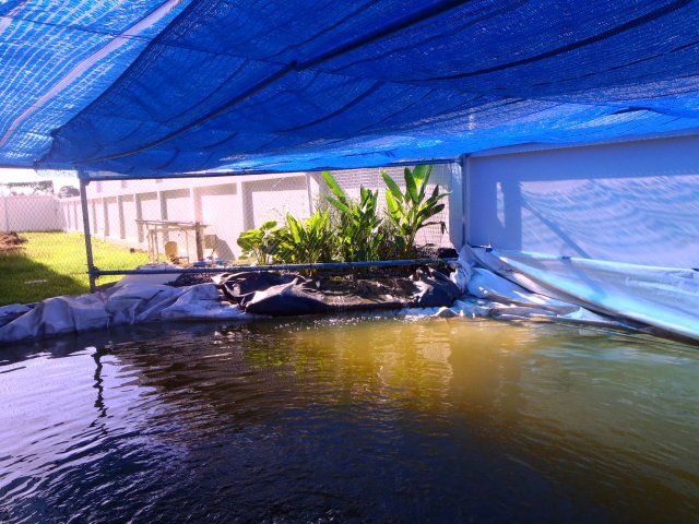 P6140336.jpg