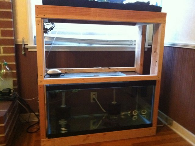 40 gallon breeder stand