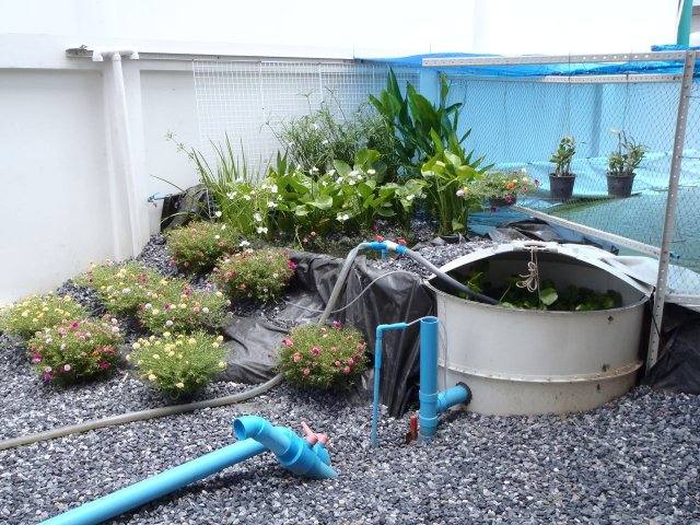P6230172.jpg