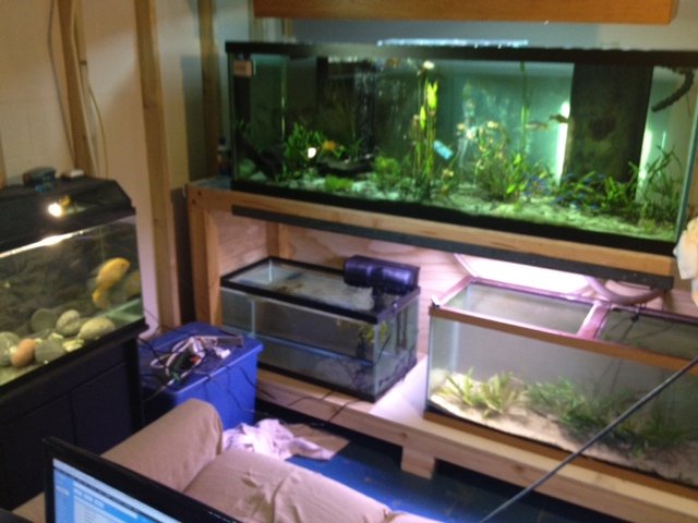 All tanks.JPG