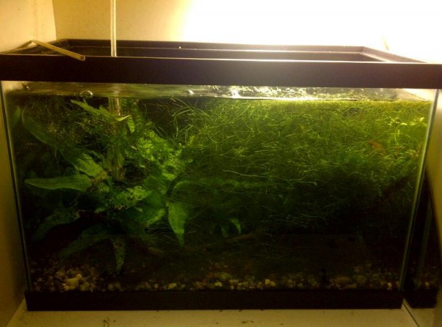 575627_10150871504151767_1779937308_n.jpg 575627_10150871504151767_1779937308_n.jpg