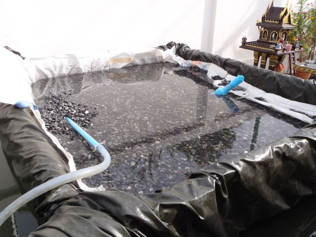 P6300201.jpg