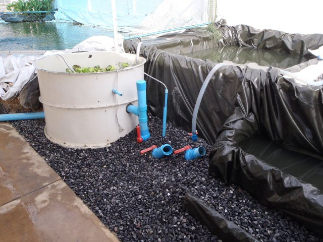 P6300202.jpg