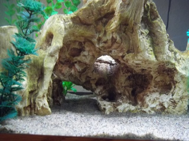 100_0499.JPG
