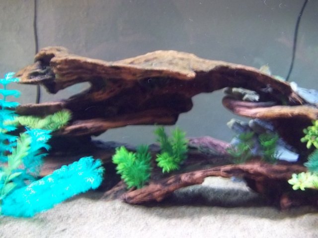 100_0500.JPG