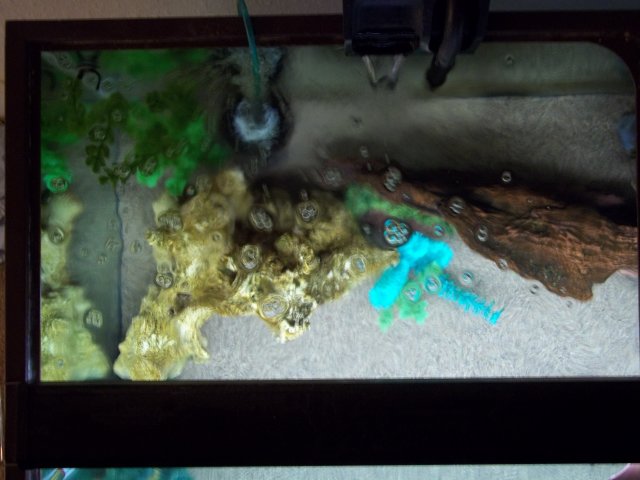 100_0507.JPG