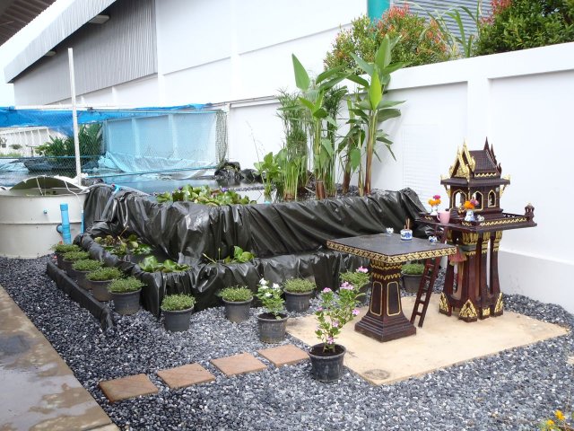 P7070184.jpg