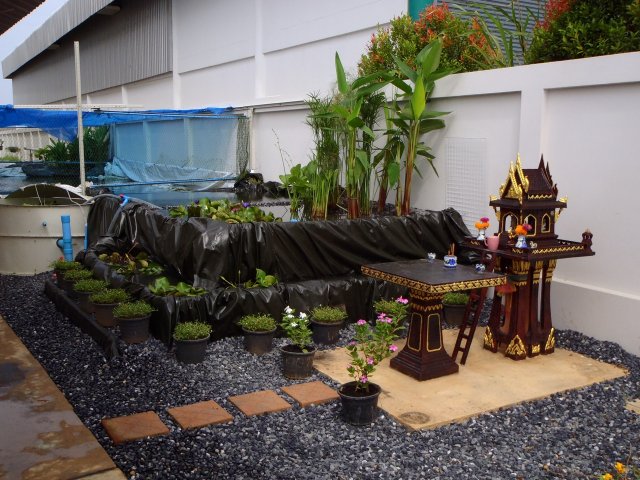 P7070183.jpg