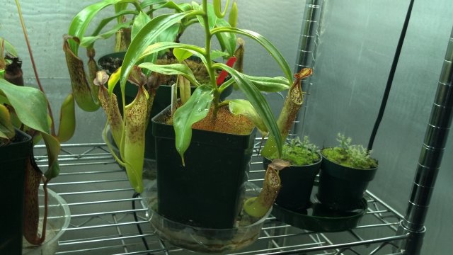 2012-07-08_20-17-47_578.jpg
