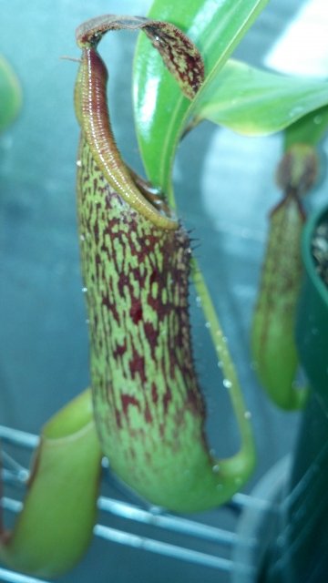 2012-07-08_20-18-02_325.jpg