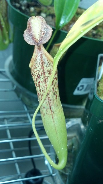 2012-07-08_20-18-22_478.jpg
