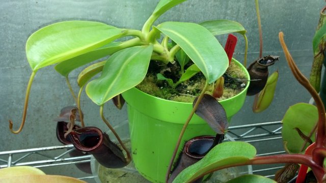 2012-07-08_20-19-20_308.jpg