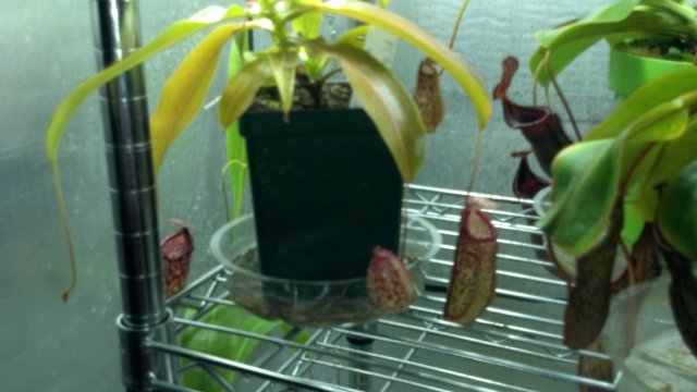 2012-07-08_20-19-56_750.jpg