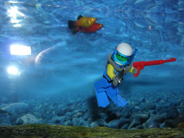 DSCN7797.JPG