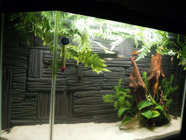 diybackground 011.JPG