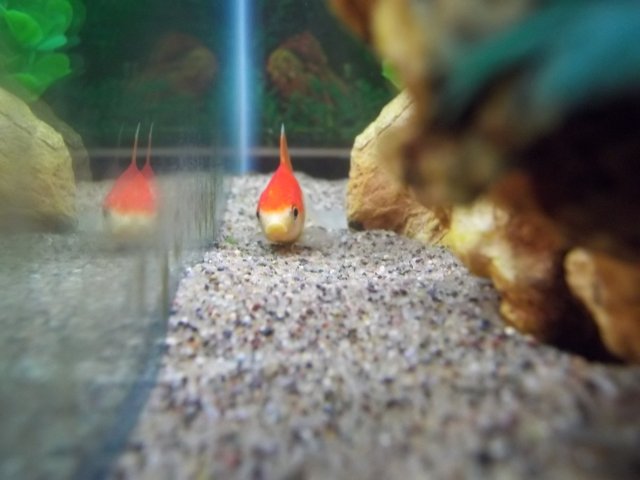 100_0517.JPG