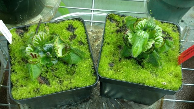 2012-07-18_18-26-01_494.jpg