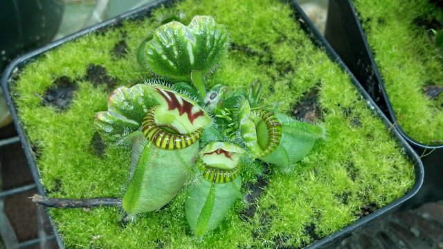 2012-07-18_18-26-18_105.jpg