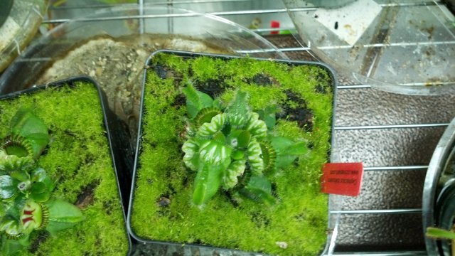 2012-07-18_18-26-27_524.jpg