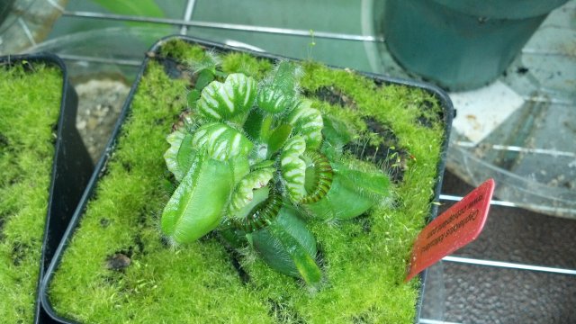 2012-07-18_18-26-42_897.jpg