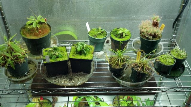 2012-07-18_18-27-12_661.jpg