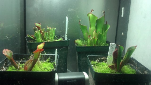 2012-07-18_18-29-25_634.jpg