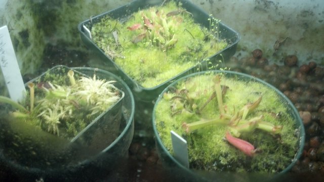 2012-07-18_18-29-36_201.jpg