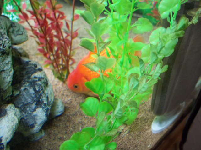 100_0527.JPG